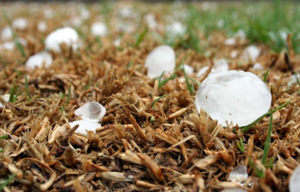 Trust your Hammond roofer to care for your hail damage needs!