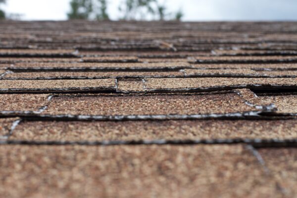This advice from a roofing company near Lafayette can help you choose the right experts for your roofing needs!