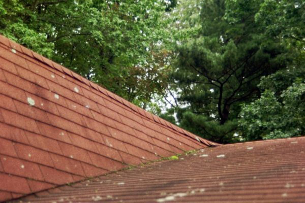 Assess Storm Damage roof