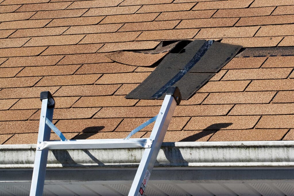 Get Rid of Roof Condensation