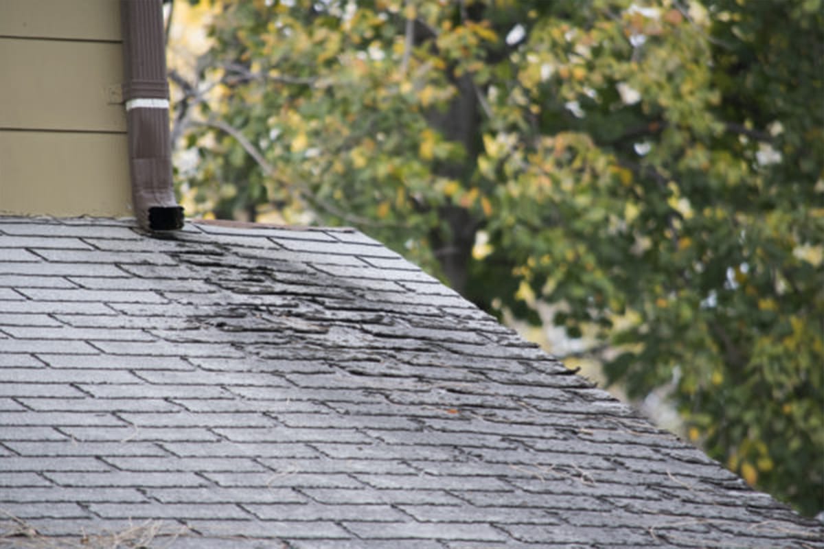 Repair & Replace Your Storm Damaged Roof