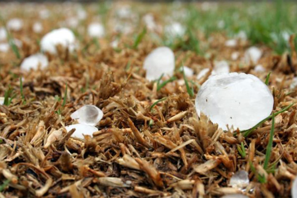 Hail Damage With Hammond Roofers