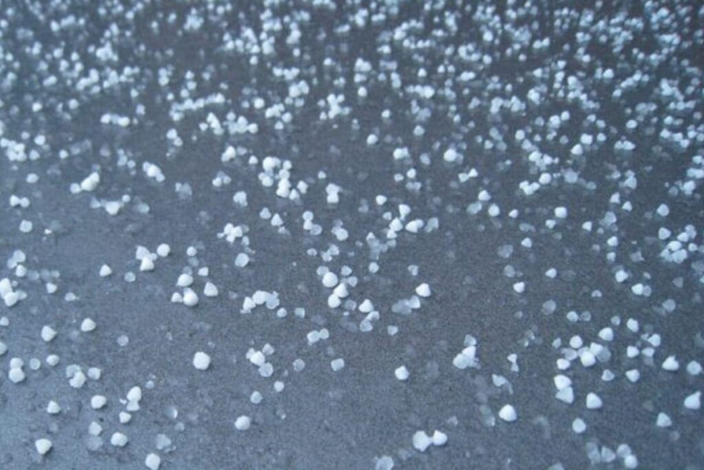 Hail Roof Inspection in New Orleans