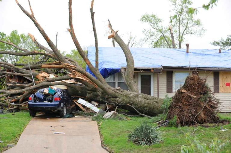 trusted storm damage expert in St Francisville LA