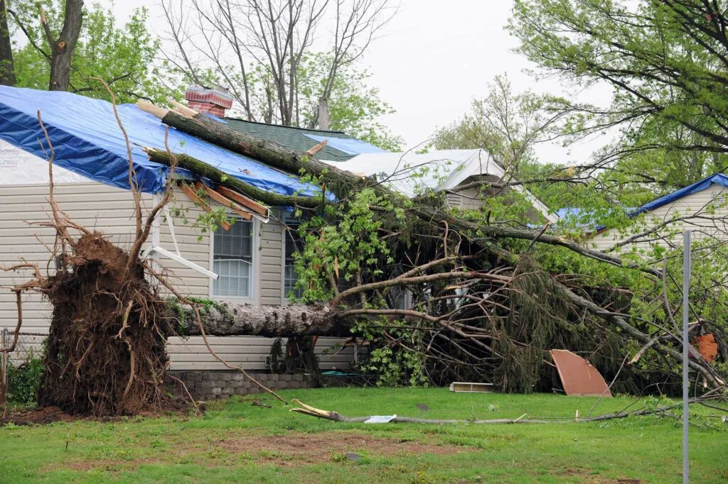 roof tree damage, Baton Rouge