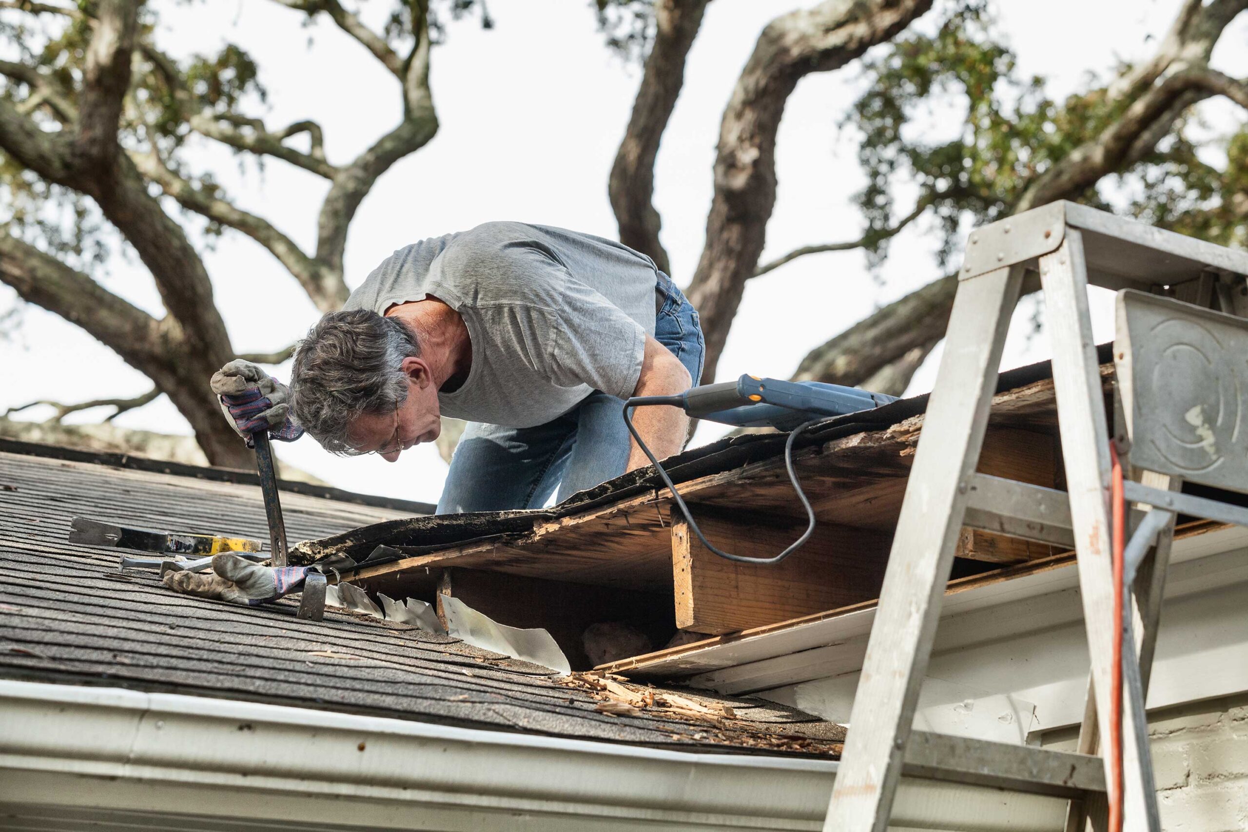 roof tree damage repair, Baton Rouge