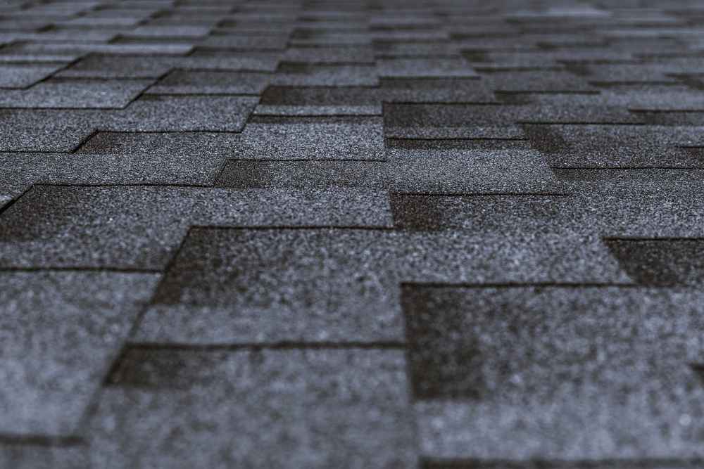 trusted roofing expert
