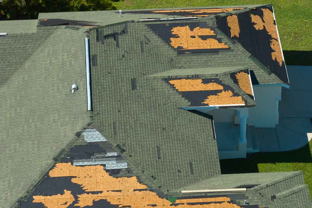 asphalt shingle roof damage in Louisiana