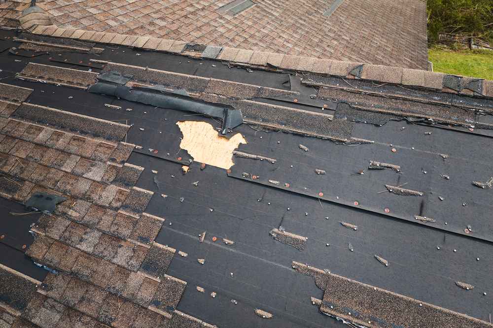 asphalt shingle roof damage in Louisiana