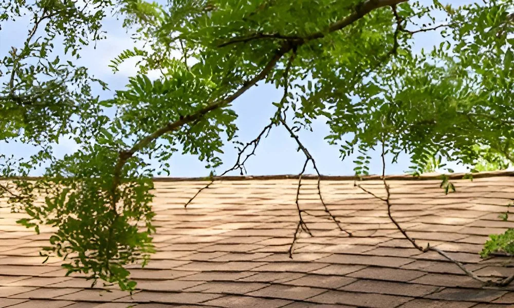 Baton Rouge asphalt shingle roofers